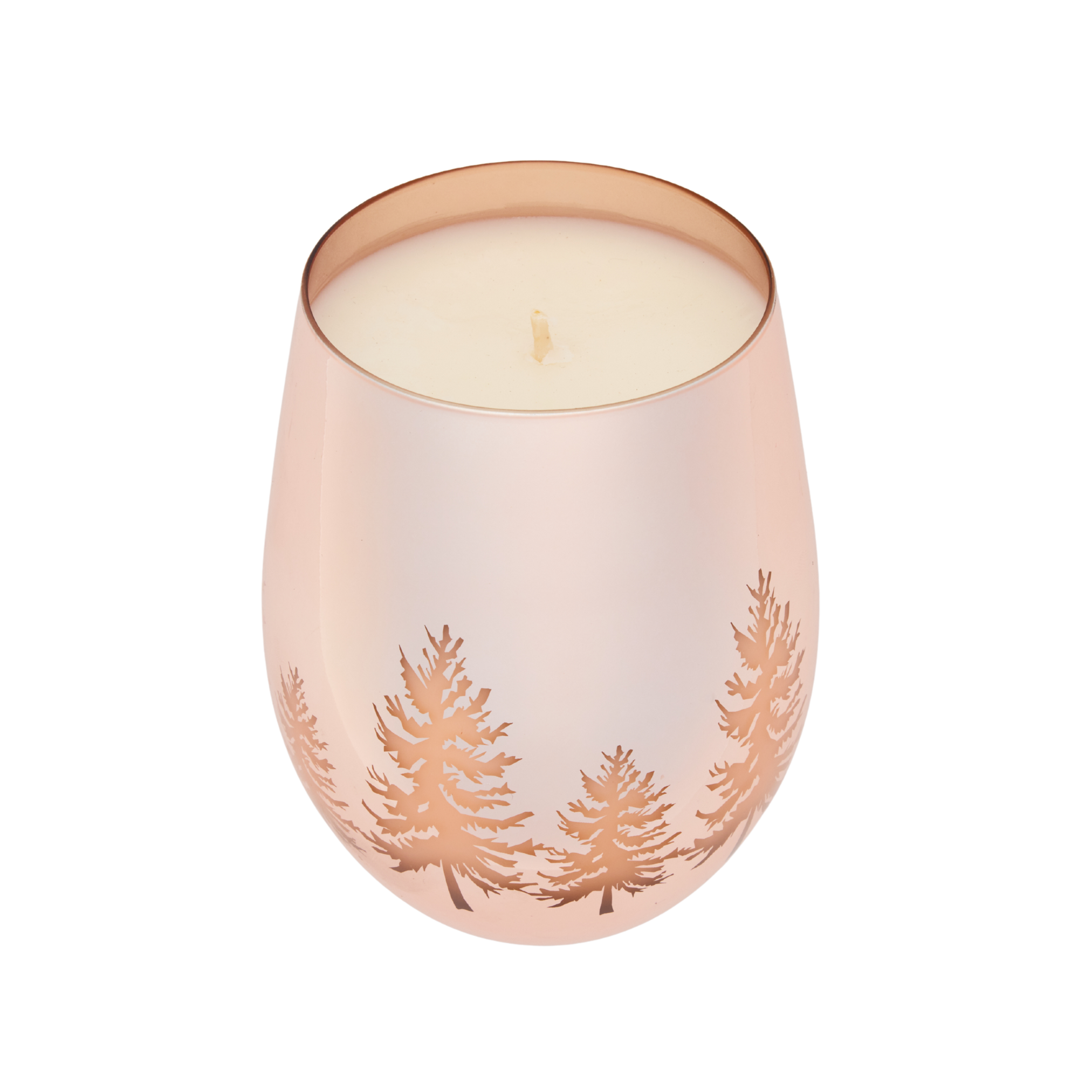 Mistletoe & Sea Salt Scented Candle