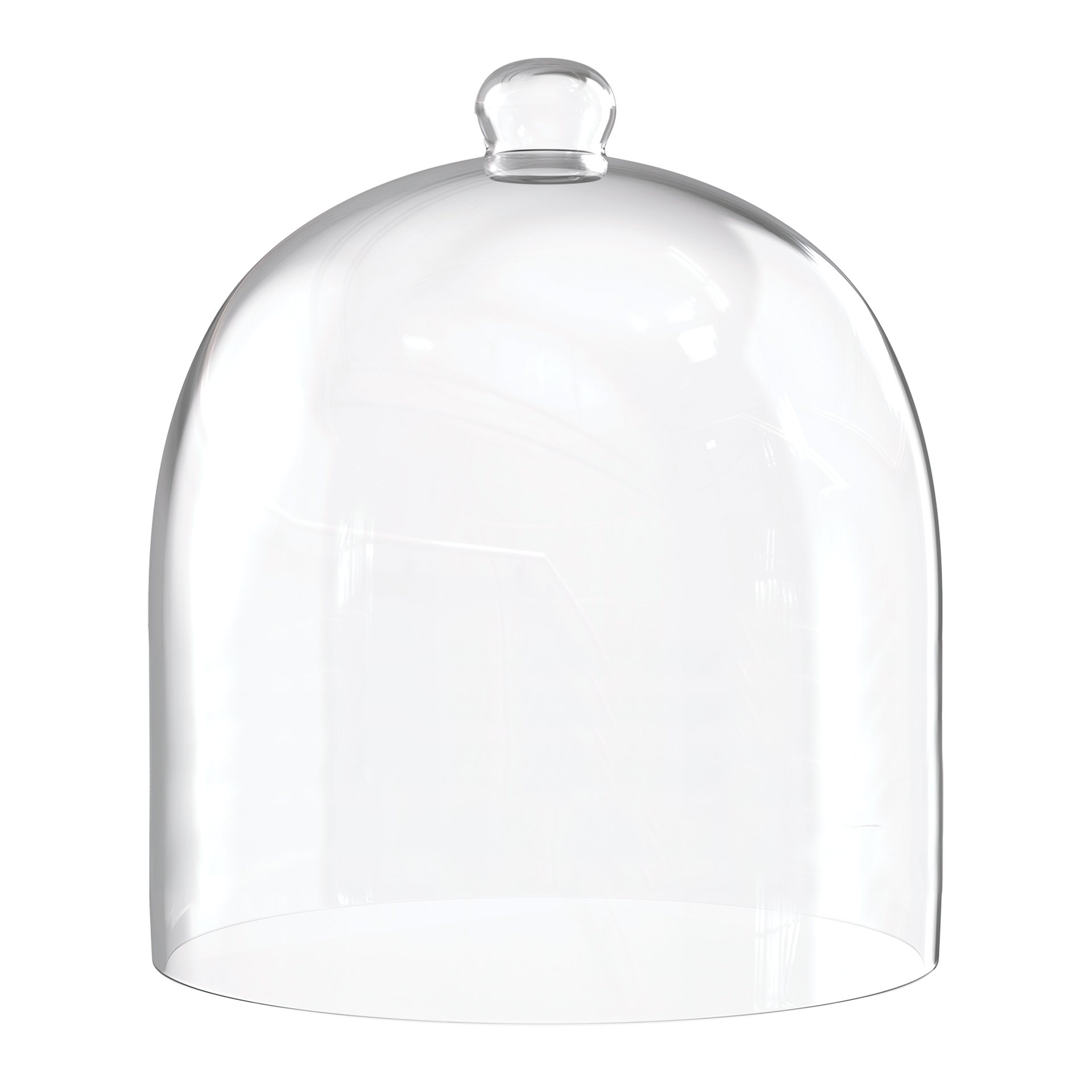 Glass Cloche