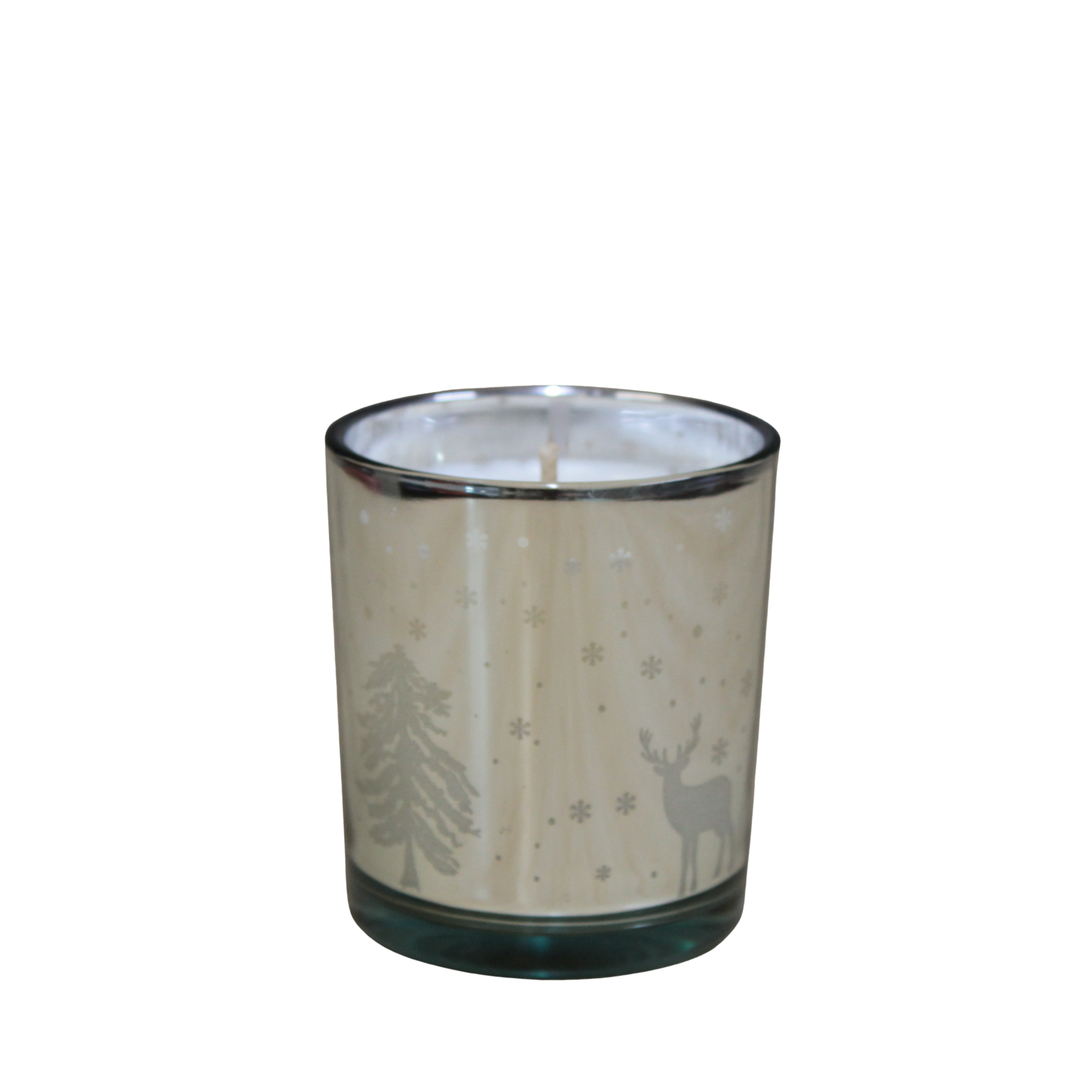 Mistletoe & Sea Salt Scented Candle